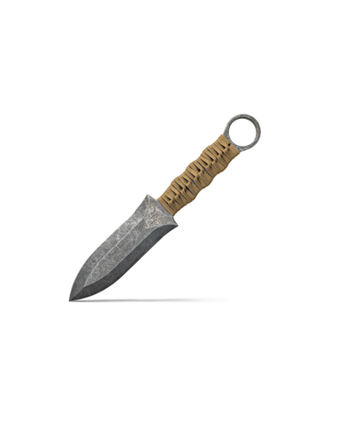 Dague Wildsteer Altor coyote avec anneau tactique lame inox et etui MOLLE utilisee par le 2e REP