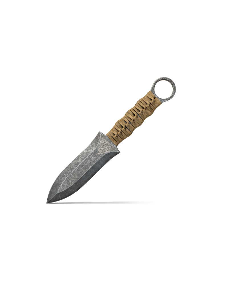 Dague Wildsteer Altor coyote avec anneau tactique lame inox et etui MOLLE utilisee par le 2e REP