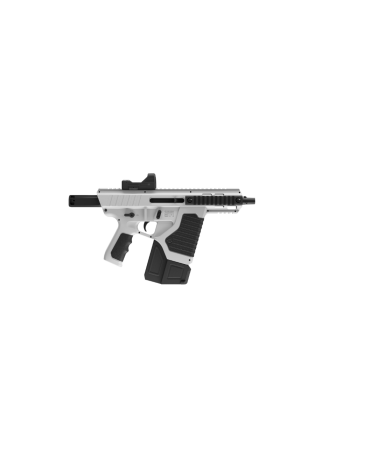 Pack Crosman ST1 Full Auto 4.5mm transformable en pistolet, avec point rouge, CO2 et crosse tactique amovible Pack Crosman ST1 Full Auto 4.5mm transformable en pistolet, avec point rouge, CO2 et crosse tactique amovible