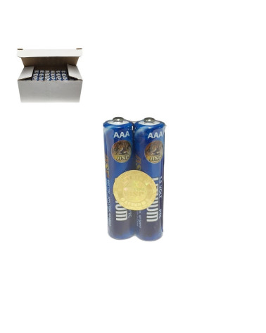 Lot de 2 piles lithium AAA ASP haute performance pour lampes et équipements tactiques