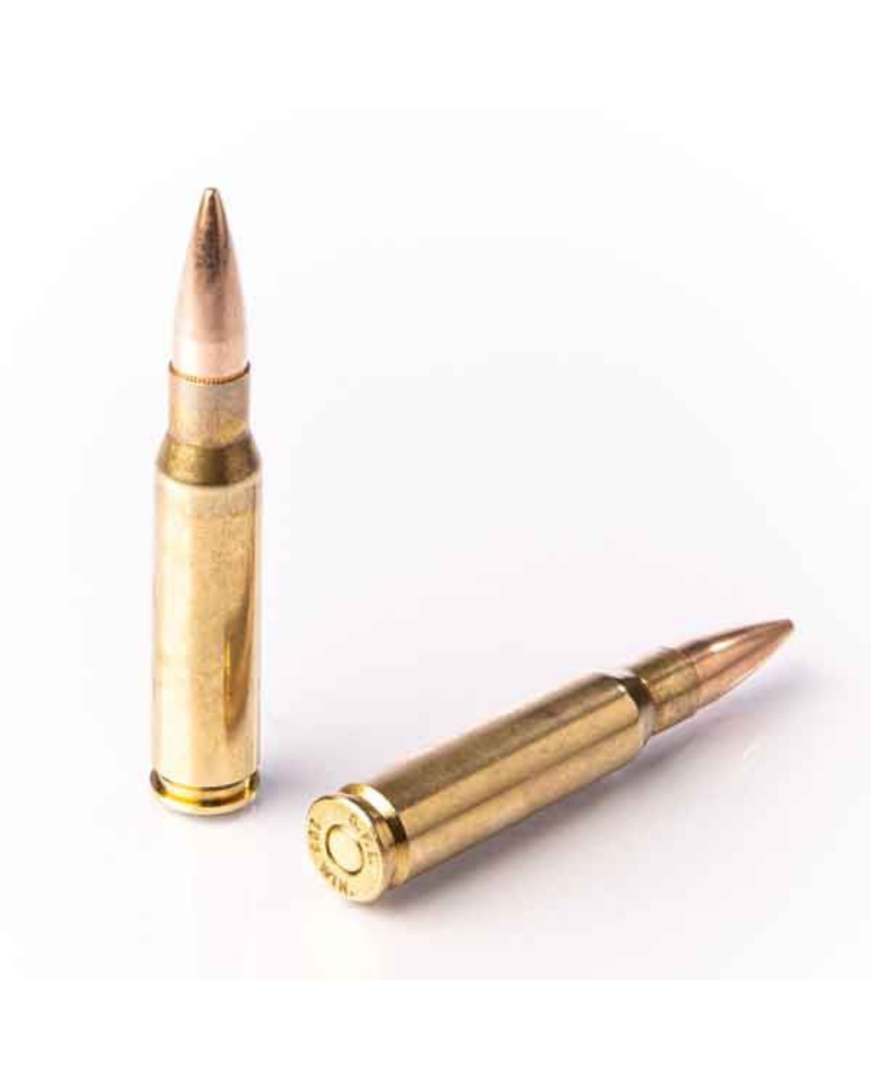 .308 WIN FMJ 147Gr - FIOCCHI .308 WIN FMJ 147Gr - FIOCCHI