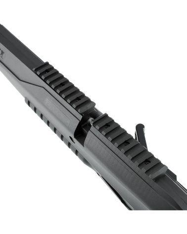 UX ICONIX PCP 5,5 mm Umarex avec lunette 3-9x40 et bipied — carabine PCP pack performance pour tir sportif