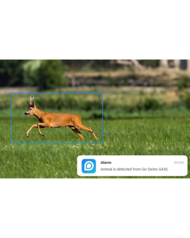 Caméra Reolink Go RG PT G450 4K 4G LTE avec vision 360° et panneau solaire