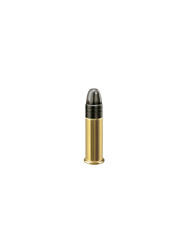 RWS Rifle Match .22 LR 40 gr cartouches de précision match, idéales pour tir sportif et compétition