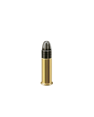 Boite 1000 cartouches RWS 22LR Subsonic HP 40 grains pour tir discret et petit gibier