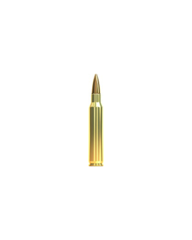 Boite de 20 cartouches Sellier Bellot 223 Rem FMJ 55 grains pour tir sportif et entrainement carabine