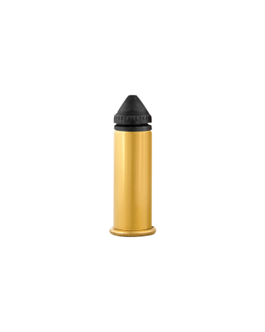 Boite de munitions Aguila 22LR Colibri 20 grains ultra silencieuses x500