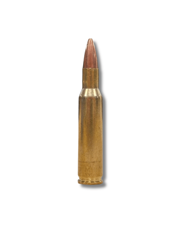 Boîte de 20 cartouches Partizan calibre 222 Remington avec balle FMJ BT de 55 grains, douilles en laiton