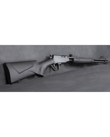 Carabine Rossi Arms Gallery Synthétique calibre .22 LR à pompe avec canon de 46 cm