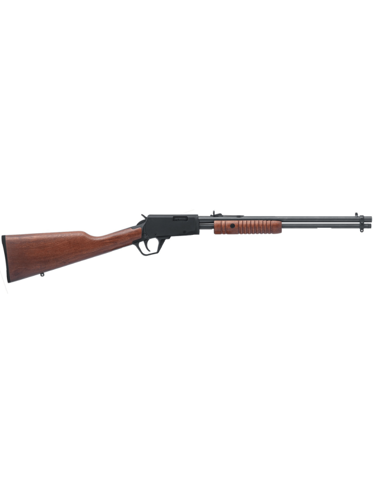 Carabine Rossi Arms Gallery Bois calibre .22 LR à pompe avec canon de 46 cm, crosse en hêtre