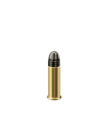Boîte de 500 cartouches RWS Z Lang calibre .22 Long Rifle avec projectile plomb Round Nose de 29,3 grains, munition