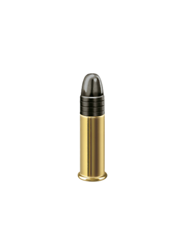 Carton de 2500 cartouches RWS R50 calibre .22 Long Rifle avec projectile LRN de 40 grains, munition Match