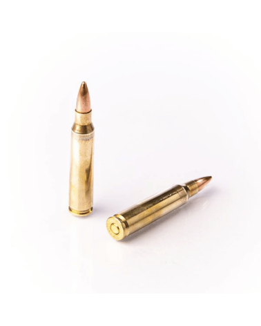 Boîte de 50 cartouches Fiocchi Full Metal Jacket calibre .223 Remington, 55 grains, munition entraînement pour carabine.