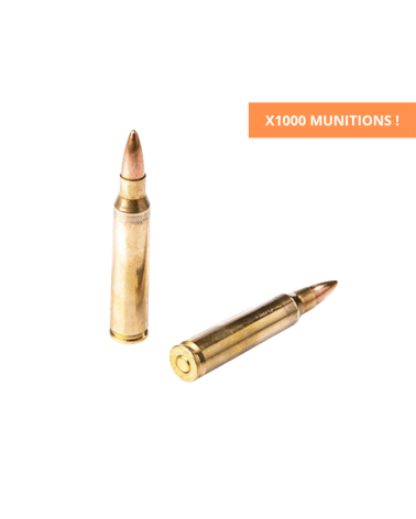 Carton de 1000 cartouches Fiocchi .223 Remington FMJ 55gr, munition d'entraînement pour carabine.