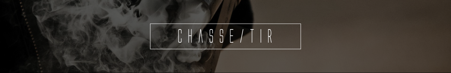 Armes de Catégorie C — Carabines et fusils pour chasse et tir sportif