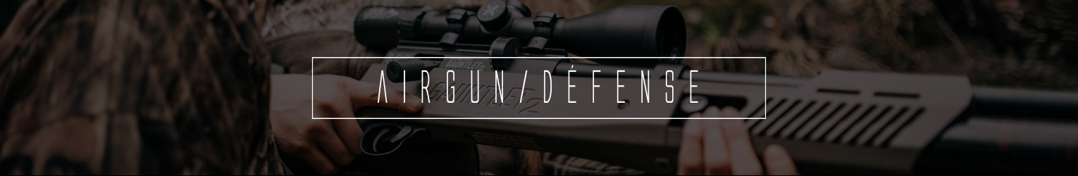 Armes de Catégorie D — Défense, airguns et répliques historiques